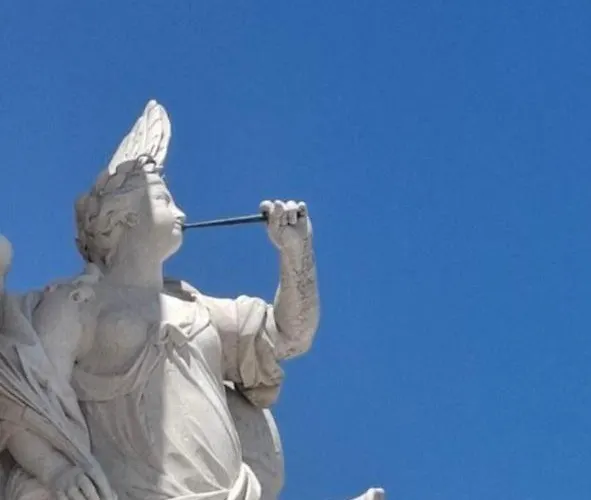 بيت شباب Paradise *