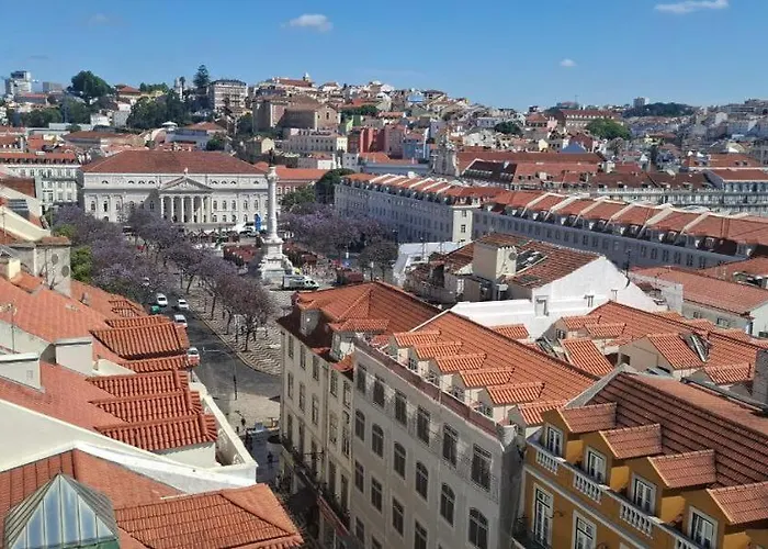 بيت شباب Paradise *