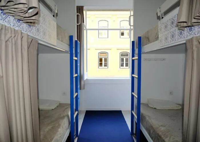 بيت شباب Paradise *